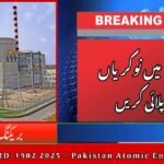 Pakistan Atomic Energy PAEC Jobs (HRD-1902)
