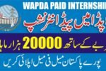 WAPDA Internship Programme 2026 Apply Online